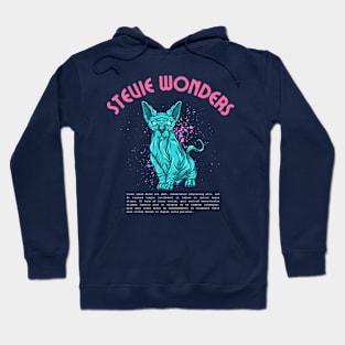 stevie wonders Hoodie